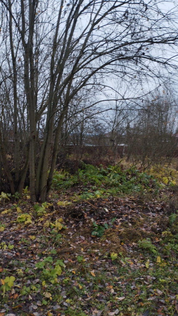 Продается участок ИЖС 10 соток в поселке Брикет Рузского района. Рядом Рузское водохранилище, озёра, леса. По скоростному Новорижскому шоссе можно быстро доехать до Москвы. 

Участок ровный, правильной формы, сухой. Вокруг живут соседи, построены хорошие дома. Круглогодичный  подъезд прямо к участку