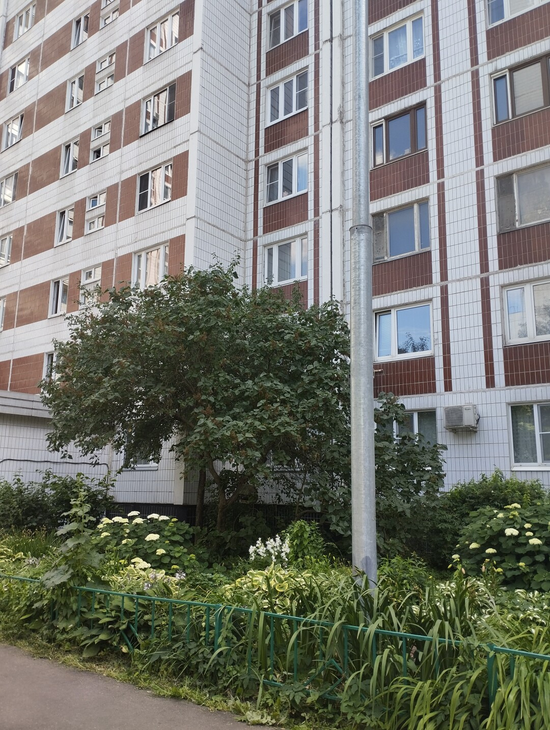Продается просторная однокомнатная квартира в ЖСК «Филёвский». 

Большая комната с лоджией, кухня 8,3 кв м, прихожая 6,4 кв м, красивый вид из окон. 

Закрытый тамбур, отличный подъезд, хорошие соседи.

Вся инфраструктура Крылатских Холмов в пешей доступности. Рядом поликлиника, двор закрыт шлагбаум